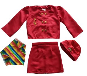 Air Hostess Dress up Costume