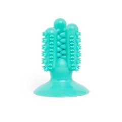 Wiggle Dental Chew Toy