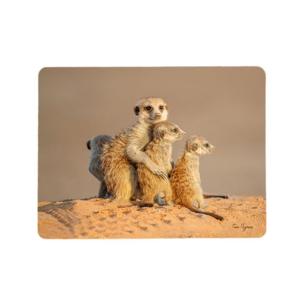 Kalahari Meerkat Placemats by Fanie Heymans