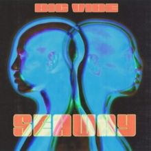 Big Vibe (Vinyl / 12" Album)