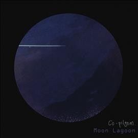 Moon Lagoon (Vinyl / 12" Album)