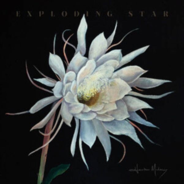 Exploding Star (Vinyl / 12" Album)
