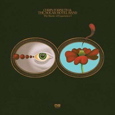 The Rarity of Experience Pts. I &amp; II (Vinyl / 12" Album with 7" Single)