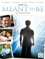 Meant to Be (DVD)