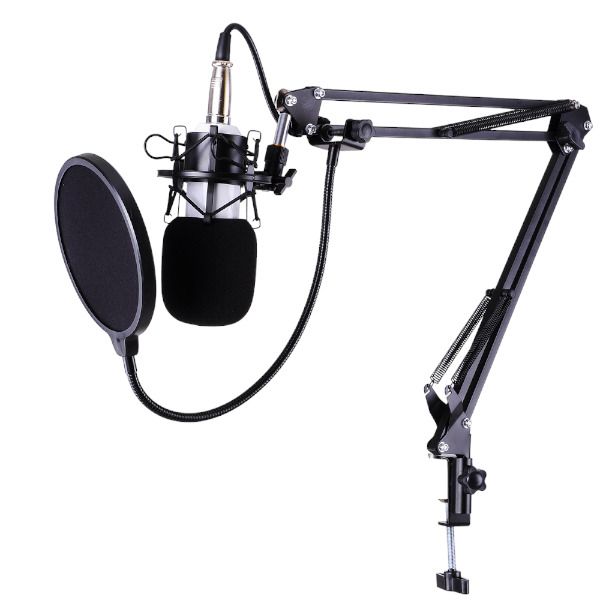 Professional Recording Microphone Stand