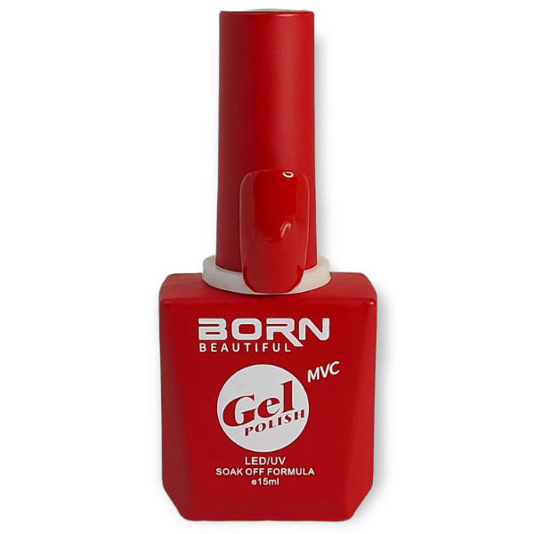 Toothbrush Holder