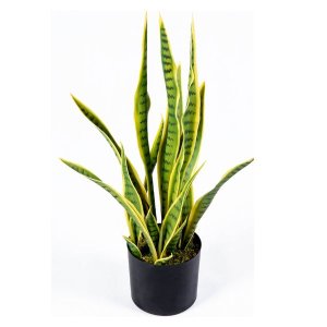 Herqona - Artificial Sansevieria Snake Plant with Pot &amp; Moss - 75cm