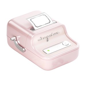 Niimbot B21 Label Printer-Bluetooth Thermal Label Maker for office - Pink