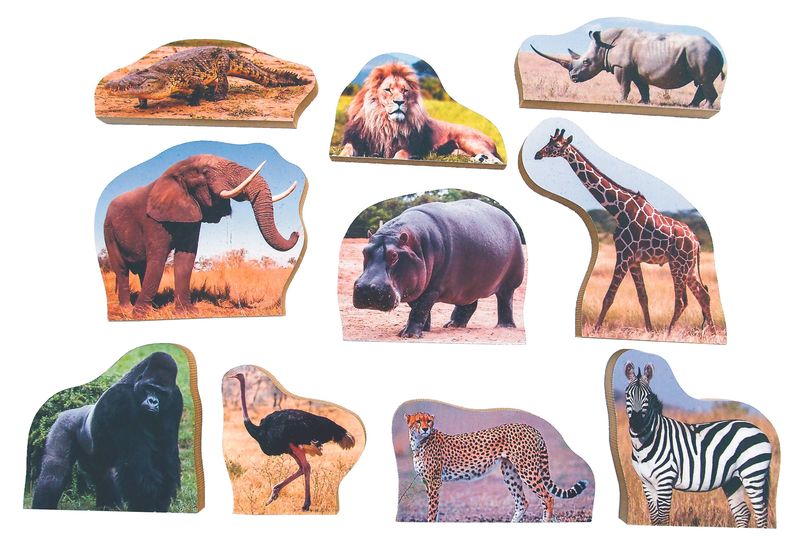 Africa
