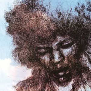 The Cry of Love (Vinyl / 12" Album)