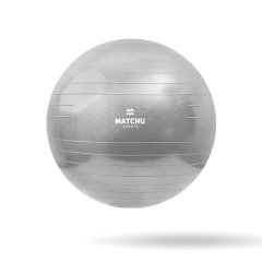 Exercise Ball 65cm - Anti-Burst Gym Ball - Yoga Ball - Pilates Ball -Silver