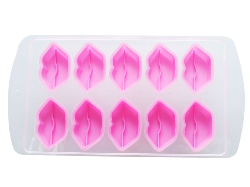 Novelty Ice Cube Tray 10 Cubes