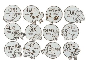 Milestone Cards for Baby Shower &amp; Newborn Nursery - 12 Piece