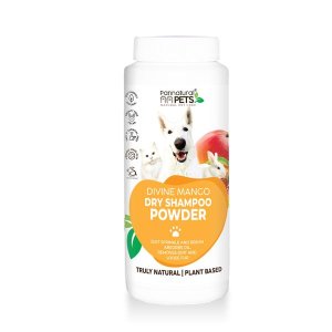 Natural Dry Shampoo Powder - Divine Mango