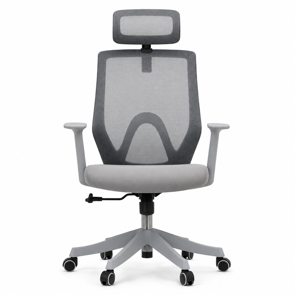 Justin Ergonomic Mesh Office Chair with Headrest &amp; Lumbar Support