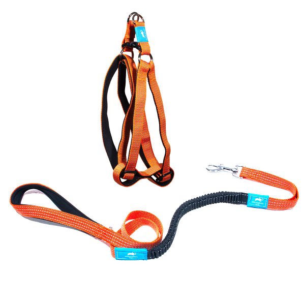 Animal Planet Step-In Harness And Anti-Shock Lead Bundle - Orange