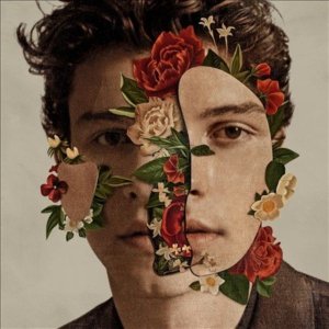 Shawn Mendes: The Album (Vinyl / 12" Album)