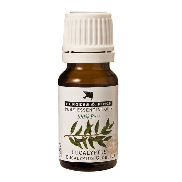 Burgess &amp; Finch Eucalyptus Oil 10ml