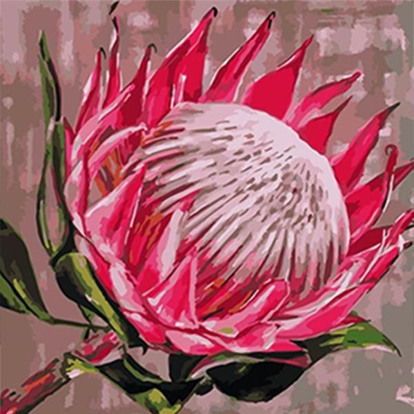 Adult Paint by Numbers with Frame - King Protea