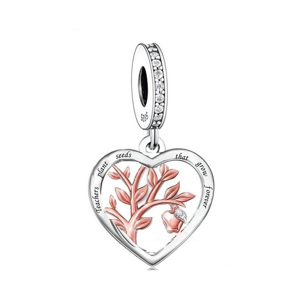 Teacher Charm Plant Seeds That Grow Forever 925 Sterling Silver Gift