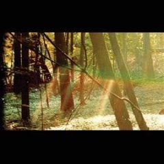Childish Gambino - Camp (Vinyl)