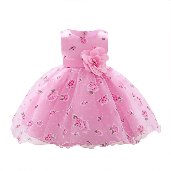 Rosa Bella Princess Dress for Girls