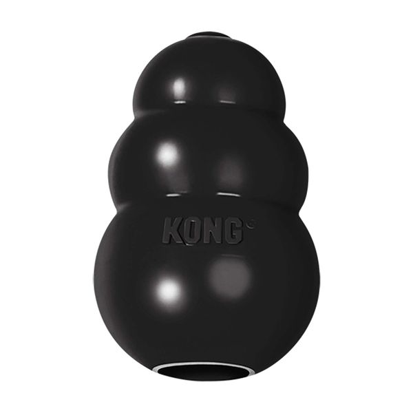 Kong - Extreme Treat Toy - Medium - Black