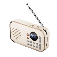 Mini Bluetooth Portable Speaker/ FM Radio/ Aux/ USB &amp; TF Card Player - (GC)