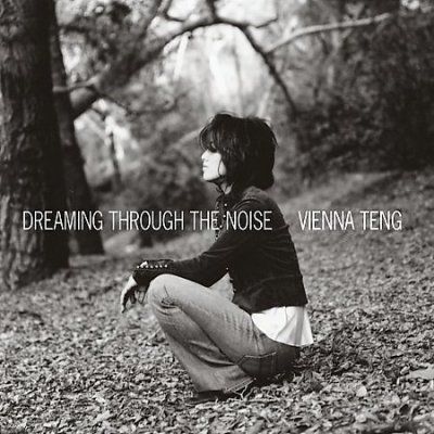 Vienna Teng - Dreaming Through The Noise (CD)