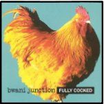 Fully Cocked (CD / Album)