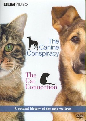 Canine Conspiracy/Cat Connection - (Region 1 Import DVD)
