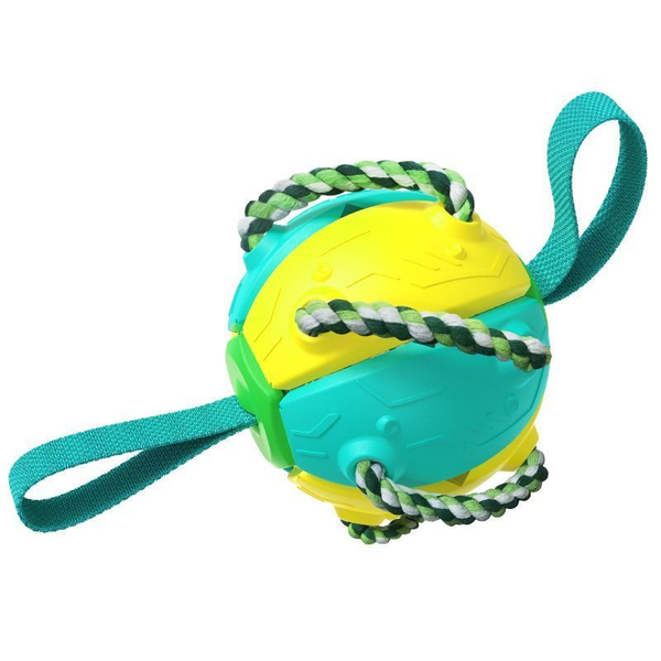 Pet Supplies Flying Saucer Outdoor Dog Toy
