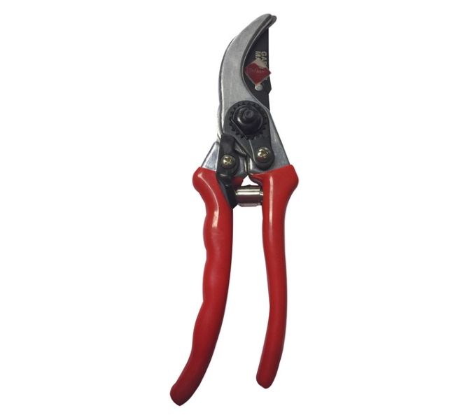 Bypass Pruner - Precision Cutting for Growing Stems and Green Cuts
