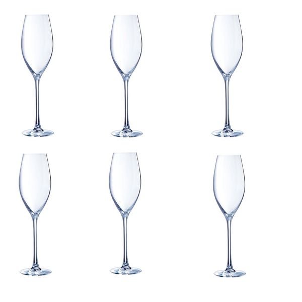 C&amp;S Grands Cepages Flute Glass 240ml - Set of 6