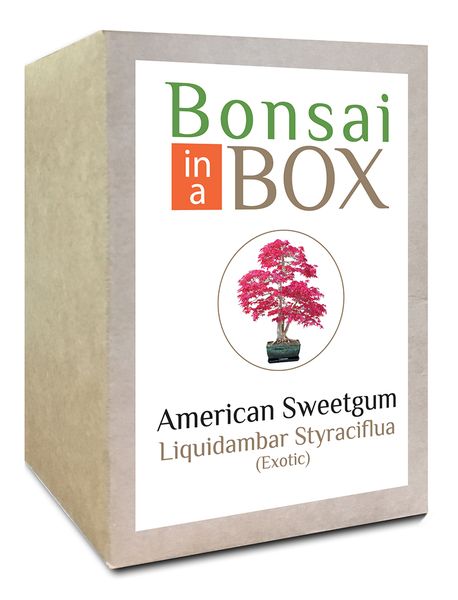 Spirit of Bellydance - (Import CD)