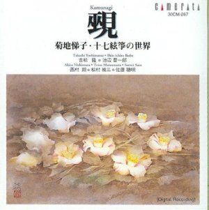 Contemporary Compositions for 17 Stri - (Import CD)