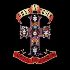 Appetite for Destruction (Vinyl / 12" Remastered Album)