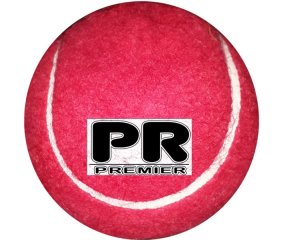 Pr Slaz Cricket Ball
