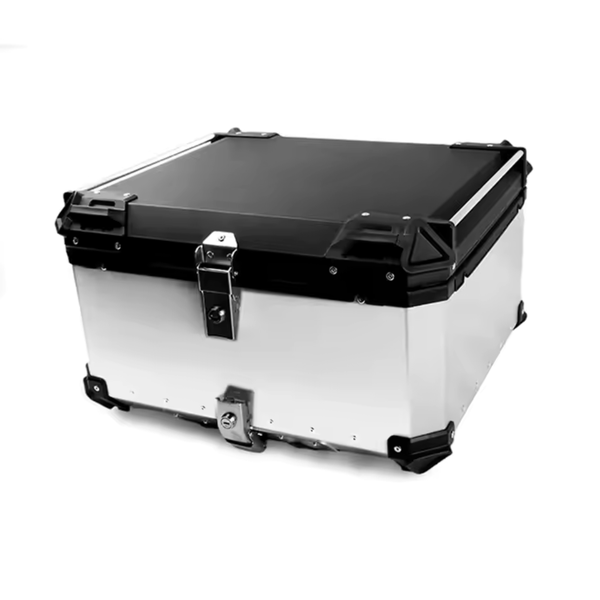 Silver - Lockable Luggage Storage Case