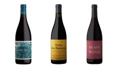 Iberian Varietals Selection #1 (3 Bottle Case)