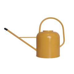 Metal Watering Can