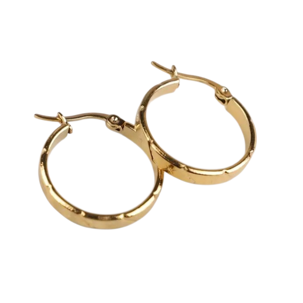 Hypoallergenic Gold Hoop Earrings for Sensitive Ears - Stainless Steel