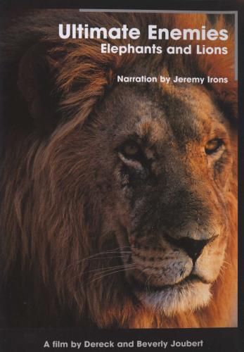 Ultimate Enemies:Elephants &amp; L - (DVD)