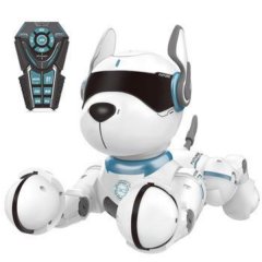 Robotics Dog Puggy