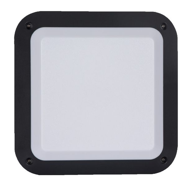 Bright Star Lighting - Outdoor Square PVC Bulkhead - Black