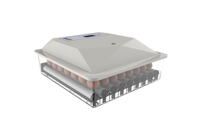 64 Egg Incubator - Dual Power
