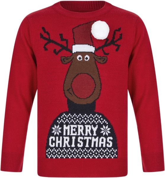 Boys Reindeer 3D Pom-Pom Jumper in George Red