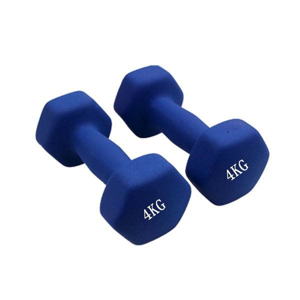 2 x Vinyl Dumbbell – 4kg Matt