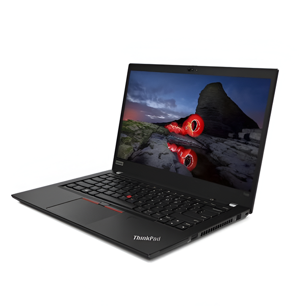 Certified Pre-Owned Lenovo ThinkPad Laptop T495-Ryzen 5 PRO-8GB/256GB SSD