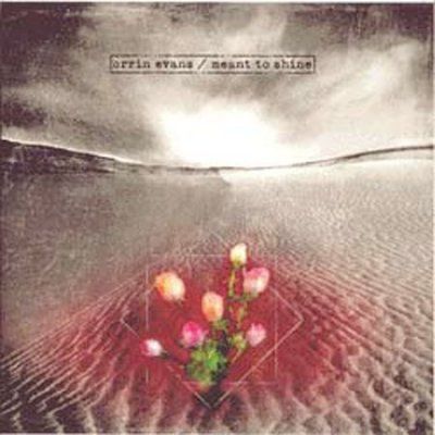 Orrin Evans - Meant To Shine (CD)